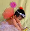 IMG_0655a.jpg